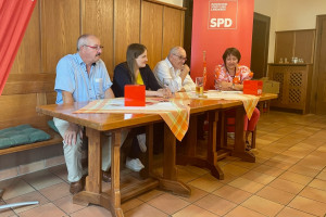 Podiumsdiskussion mit Peter Kloo, Ronja Endres, Heinz Oesterle und Petra Keitz-Dimpflmeier